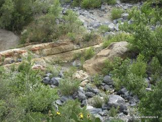 ndolito-24-05-2014 20-44-20
